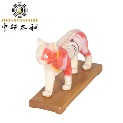 28 सेमी बिल्ली एक्यूपंक्चर मॉडल चीनी चिकित्सा शिक्षण एक्यूपंक्चर बॉडी मॉडल पीवीसी
