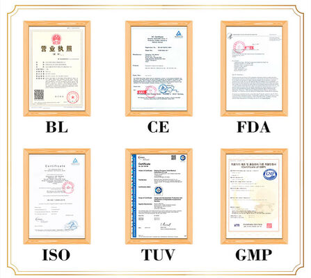 मानव शरीर का विस्तृत और यथार्थवादी चित्रण चिकित्सा शिक्षण के लिए पोर्टेबल हल्के और परिवहन करने में आसान