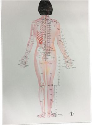 व्यक्तिगत पारंपरिक चीनी चिकित्सा सुरक्षित प्रभावी उपचार