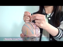 ह्वाटो कान एक्यूपंक्चर प्रेस सुई प्रभावी ढंग से रक्त परिसंचरण को बढ़ावा देना 0.22*1.5 मिमी